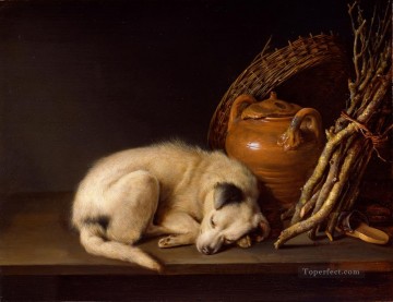  Schlaf Galerie - Schlaf Hund und ein Glas